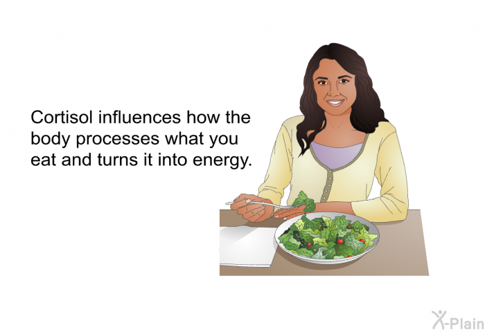 Cortisol influences how the body processes what you eat and turns it into energy.