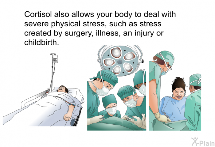 Cortisol also allows your body to deal with severe physical stress, such as stress created by surgery, illness, an injury or childbirth.