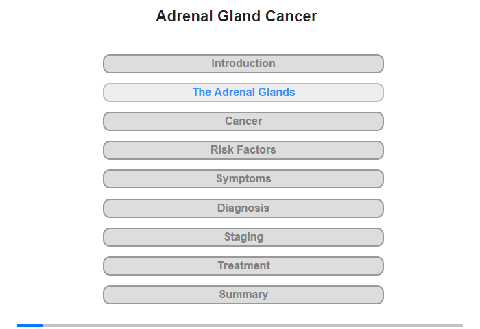 The Adrenal Glands