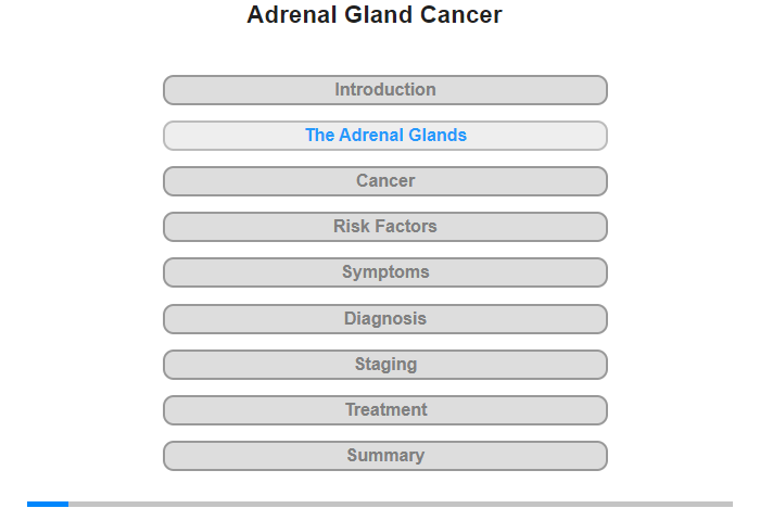 The Adrenal Glands