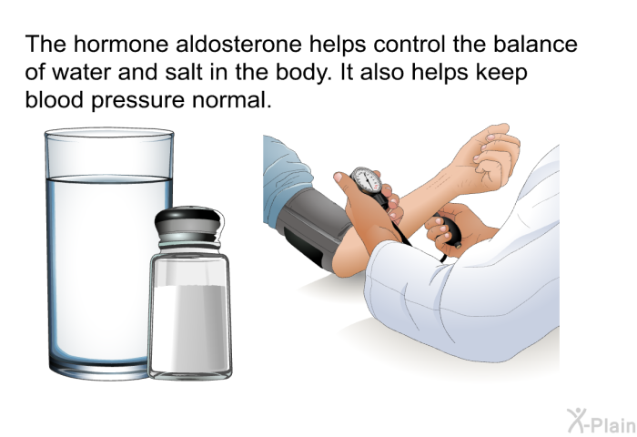 The hormone aldosterone helps control the balance of water and salt in the body. It also helps keep blood pressure normal.