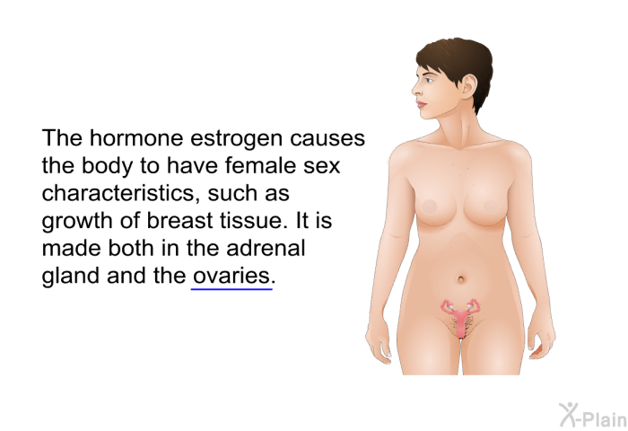 The hormone estrogen causes the body to have female sex characteristics, such as growth of breast tissue. It is made both in the adrenal gland and the ovaries.