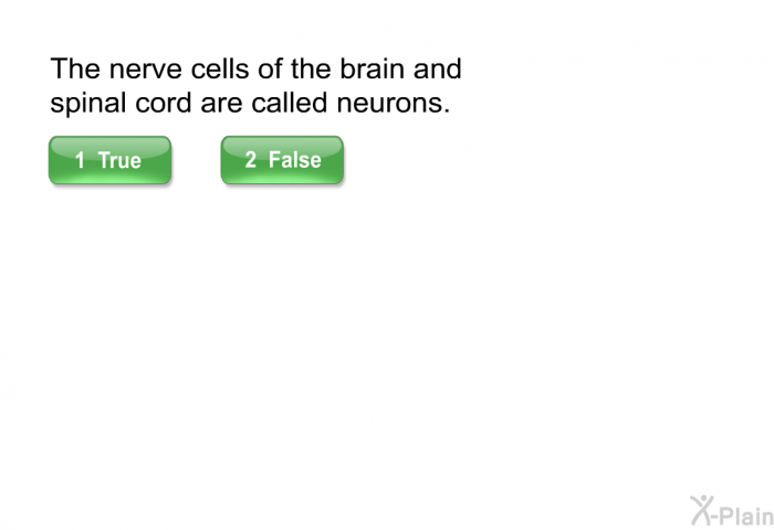 The nerve cells of the brain and spinal cord are called neurons.