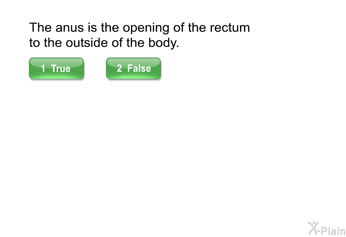 The anus is the opening of the rectum to the outside of the body.