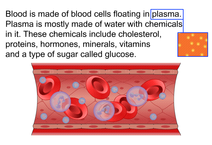 Blood is made of blood cells floating in plasma. Plasma is mostly made of water with chemicals in it. These chemicals include cholesterol, proteins, hormones, minerals, vitamins and a type of sugar called glucose.