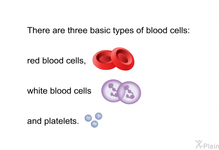 There are three basic types of blood cells: red blood cells, white blood cells and platelets.