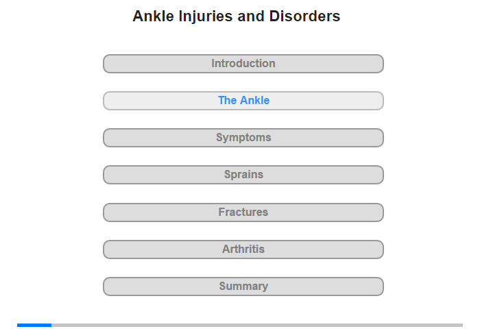 The Ankle