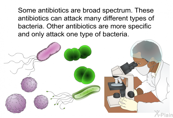 Some antibiotics are broad spectrum. These antibiotics can attack many different types of bacteria. Other antibiotics are more specific and only attack one type of bacteria.
