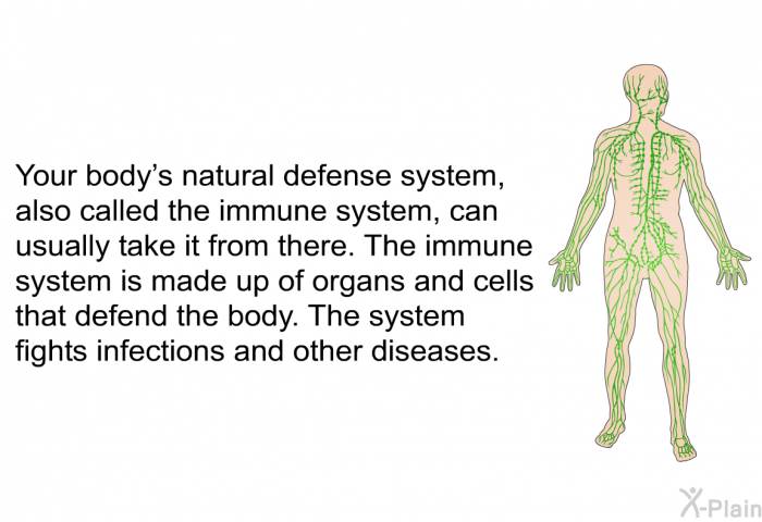 Your body's natural defense system, also called the immune system, can usually take it from there. The immune system is made up of organs and cells that defend the body. The system fights infections and other diseases.