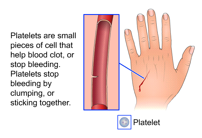 Platelets are small pieces of cell that help blood clot, or stop bleeding. Platelets stop bleeding by clumping, or sticking together.