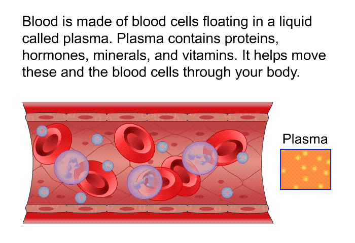 Blood is made of blood cells floating in a liquid called plasma. Plasma contains proteins, hormones, minerals, and vitamins. It helps move these and the blood cells through your body.