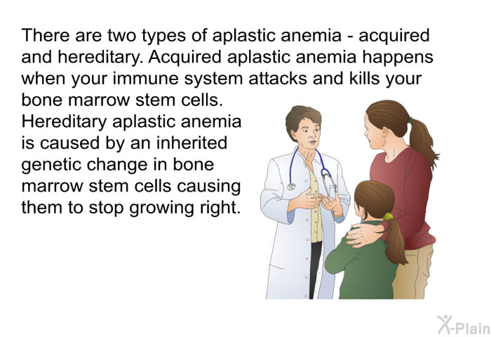 There are two types of aplastic anemia – acquired and hereditary. Acquired aplastic anemia happens when your immune system attacks and kills your bone marrow stem cells. Hereditary aplastic anemia is caused by an inherited genetic change in bone marrow stem cells causing them to stop growing right.