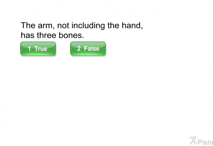 The arm, not including the hand, has three bones.