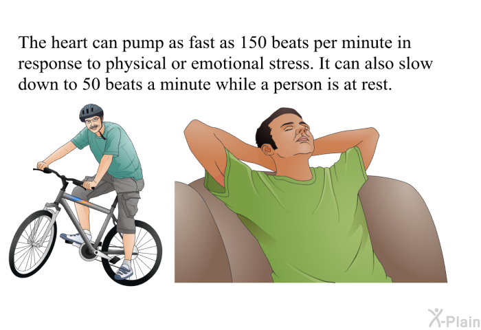 The heart can pump as fast as 150 beats per minute in response to physical or emotional stress. It can also slow down to 50 beats a minute while a person is at rest.