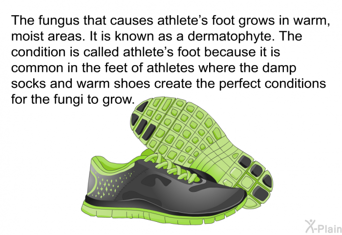 The fungus that causes athlete's foot grows in warm, moist areas. It is known as a dermatophyte. The condition is called athlete's foot because it is common in the feet of athletes where the damp socks and warm shoes create the perfect conditions for the fungi to grow.