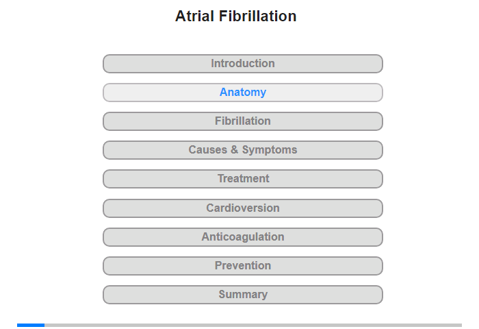 Anatomy