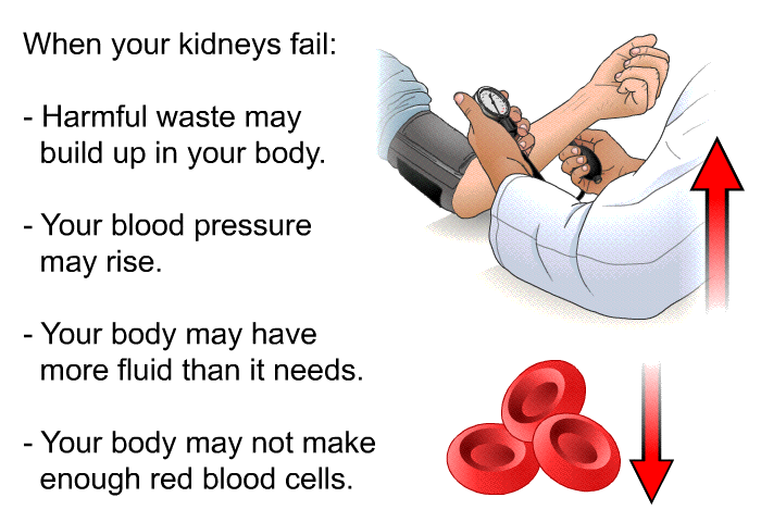 When your kidneys fail:  Harmful waste may build up in your body. Your blood pressure may rise. Your body may have more fluid than it needs. Your body may not make enough red blood cells.