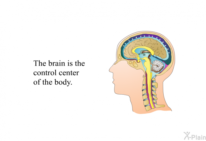 The brain is the control center of the body.