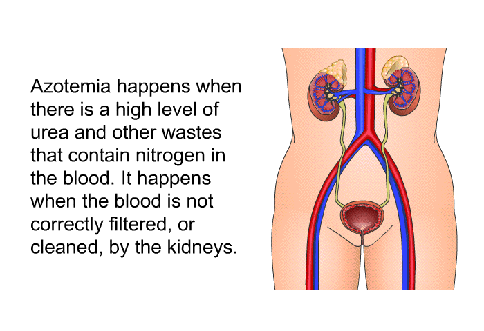 Azotemia happens when there is a high level of urea and other wastes that contain nitrogen in the blood. It happens when the blood is not correctly filtered, or cleaned, by the kidneys.