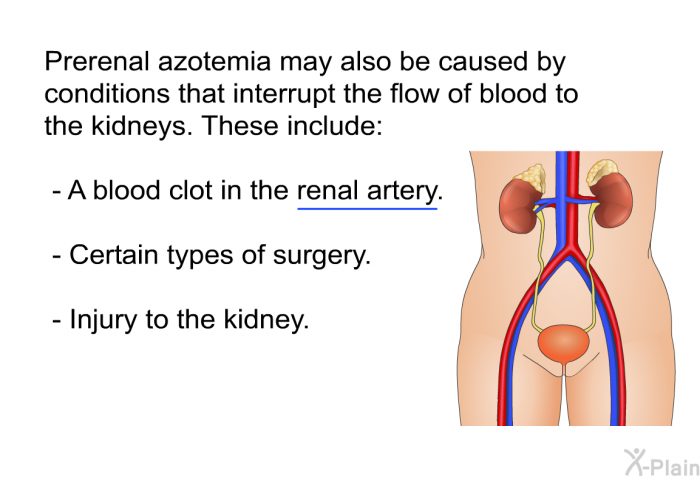 Prerenal azotemia may also be caused by conditions that interrupt the flow of blood to the kidneys. These include:  A blood clot in the renal artery. Certain types of surgery. Injury to the kidney.