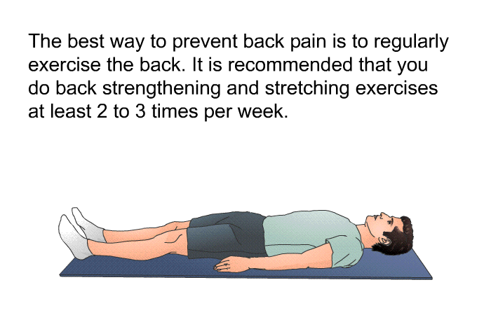 The best way to prevent back pain is to regularly exercise the back. It is recommended that you do back strengthening and stretching exercises at least 2 or 3 times per week.