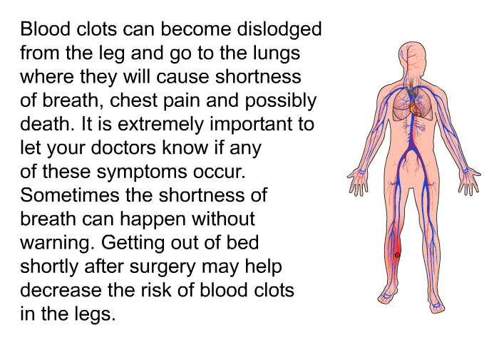 Blood clots can become dislodged from the leg and go to the lungs where they will cause shortness of breath, chest pain and possibly death. It is extremely important to let your doctors know if any of these symptoms occur. Sometimes the shortness of breath can happen without warning. Getting out of bed shortly after surgery may help decrease the risk of blood clots in the legs.