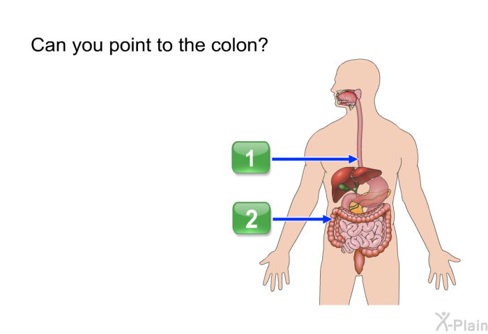 Can you point to the colon?