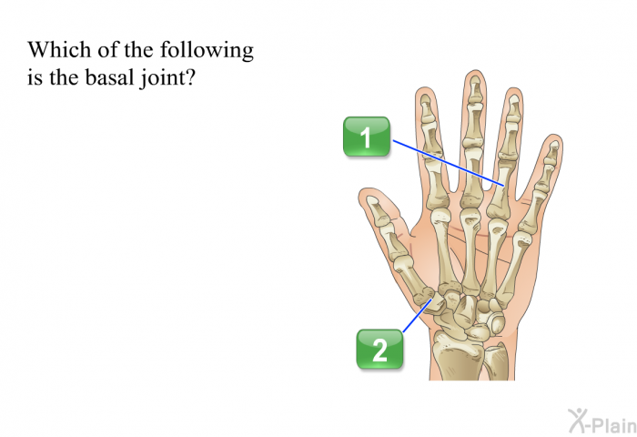 Which of the following is the basal joint?