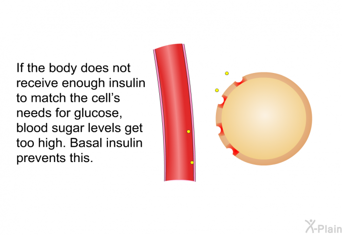 If the body does not receive enough insulin to match the cell's needs for glucose, blood sugar levels get too high. Basal insulin prevents this.