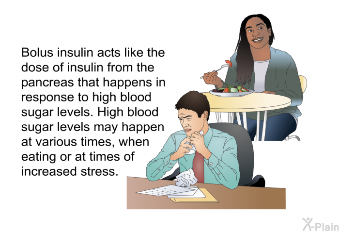 Bolus insulin acts like the dose of insulin from the pancreas that happens in response to high blood sugar levels. High blood sugar levels may happen at various times, when eating or at times of increased stress.