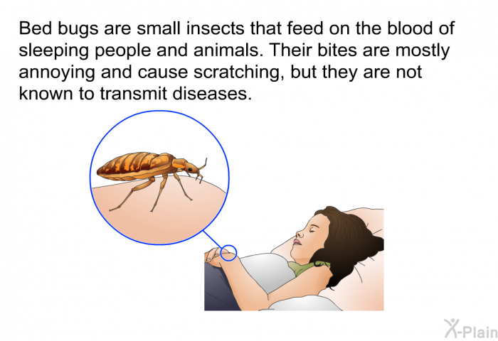 Bed bugs are small insects that feed on the blood of sleeping people and animals. Their bites are mostly annoying and cause scratching, but they are not known to transmit diseases.