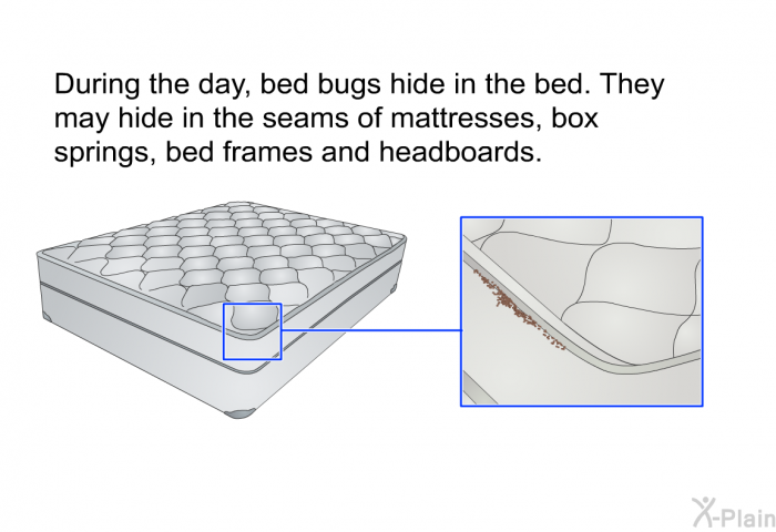 During the day, bed bugs hide in the bed. They may hide in the seams of mattresses, box springs, bed frames and headboards.