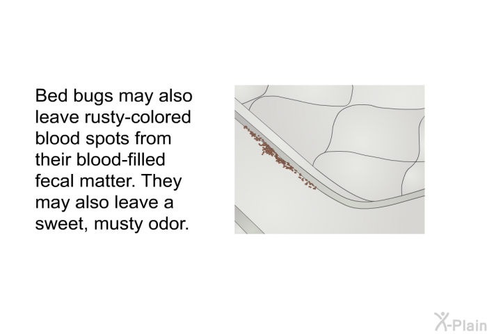 Bed bugs may also leave rusty-colored blood spots from their blood-filled fecal matter. They may also leave a sweet, musty odor.