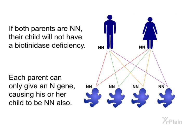 If both parents are NN, their child will not have a biotinidase deficiency. Each parent can only give an N gene, causing his or her child to be NN also.