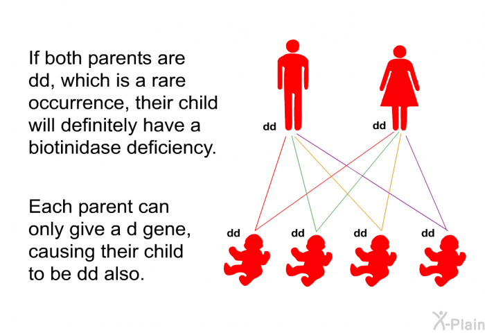 If both parents are dd, which is a rare occurrence, their child will definitely have a biotinidase deficiency. Each parent can only give a d gene, causing their child to be dd also.
