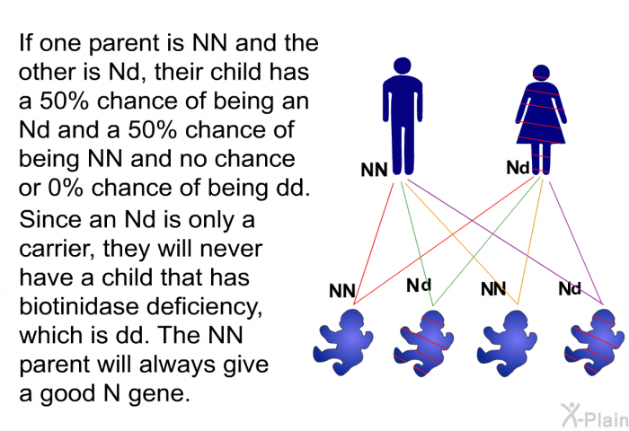 If one parent is NN and the other is Nd, their child has a 50% chance of being an Nd and a 50% chance of being NN and no chance or 0% chance of being dd. Since an Nd is only a carrier, they will never have a child that has biotinidase deficiency, which is dd. The NN parent will always give a good N gene.