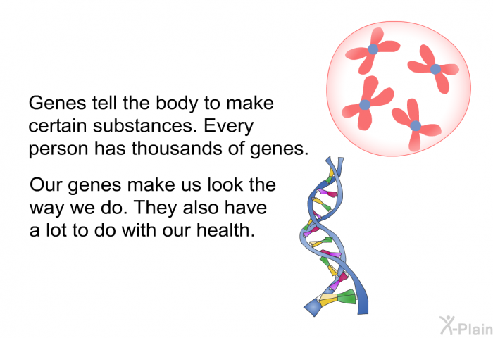 Genes tell the body to make certain substances. Every person has thousands of genes. Our genes make us look the way we do. They also have a lot to do with our health.