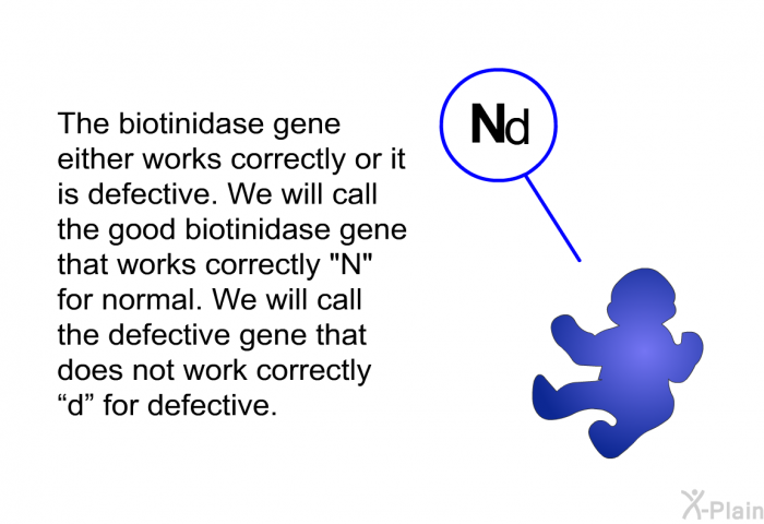 The biotinidase gene either works correctly or it is defective. We will call the good biotinidase gene that works correctly N for normal. We will call the defective gene that does not work correctly &ldquo;d&rdquo; for defective.