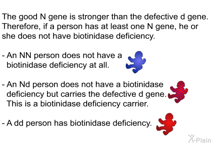 The good N gene is stronger than the defective d gene. Therefore, if a person has at least one N gene, he or she does not have biotinidase deficiency. An NN person does not have a biotinidase deficiency at all. An Nd person does not have a biotinidase deficiency but carries the defective d gene. This is a biotinidase deficiency carrier. A dd person has biotinidase deficiency.