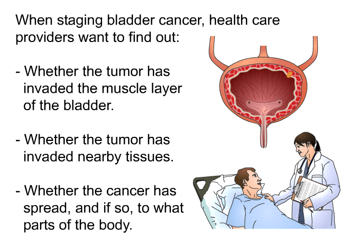 When staging bladder cancer, health care providers want to find out:  Whether the tumor has invaded the muscle layer of the bladder. Whether the tumor has invaded nearby tissues. Whether the cancer has spread, and if so, to what parts of the body.