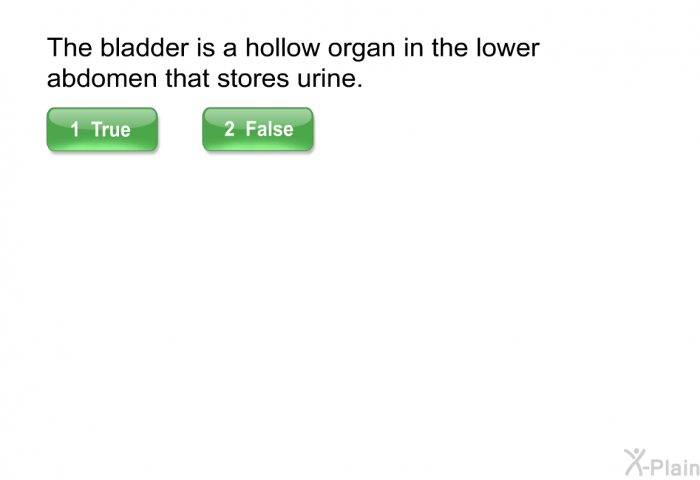 The bladder is a hollow organ in the lower abdomen that stores urine.