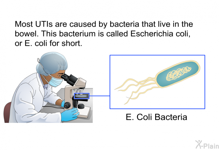 Most UTIs are caused by bacteria that live in the bowel. This bacterium is called Escherichia coli, or E. coli for short.