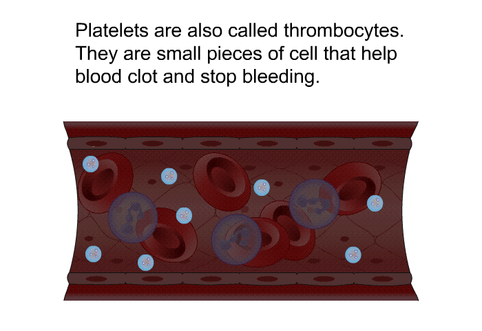 Platelets<B> </B>are also called thrombocytes. They are small pieces of cell that help blood clot and stop bleeding.