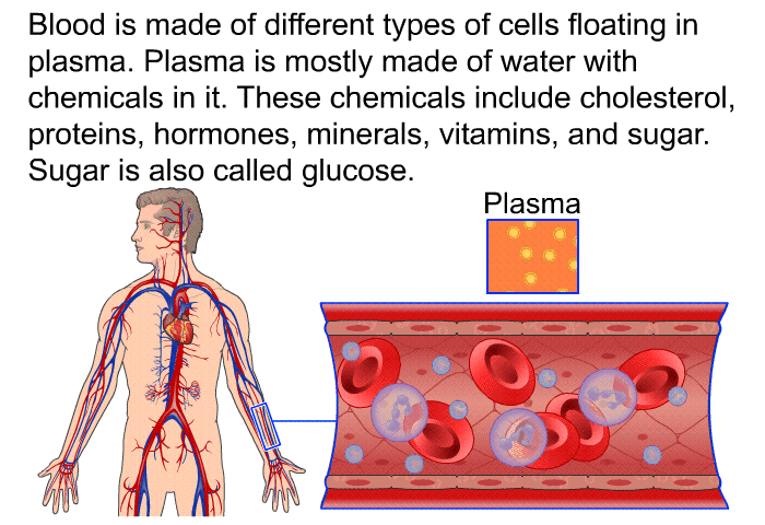Blood is made of different types of cells floating in plasma. Plasma is mostly made of water with chemicals in it. These chemicals include cholesterol, proteins, hormones, minerals, vitamins, and sugar. Sugar is also called glucose.