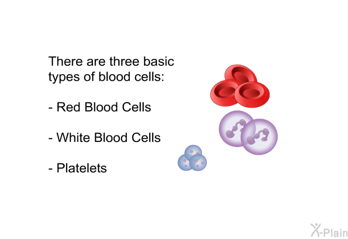 There are three basic types of blood cells:  Red Blood Cells White Blood Cells Platelets