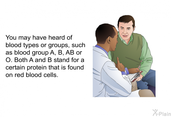You may have heard of blood types or groups, such as blood group A, B, AB or O. Both A and B stand for a certain protein that is found on red blood cells.