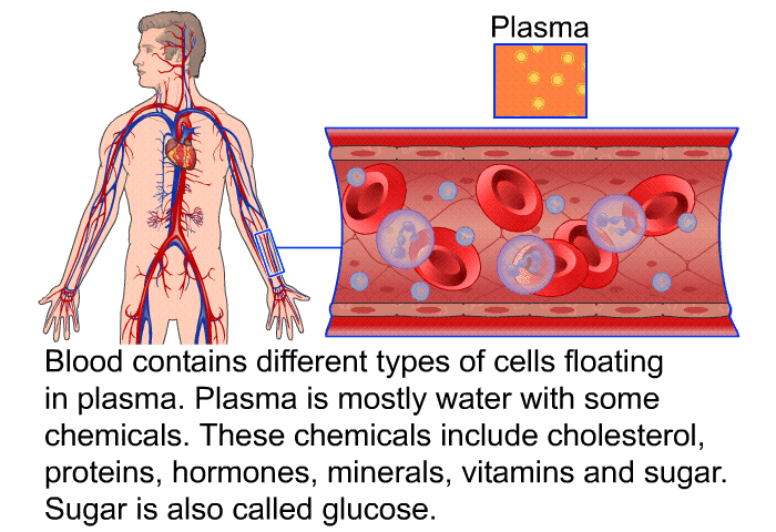 Blood contains different types of cells floating in plasma. Plasma is mostly water with some chemicals. These chemicals include cholesterol, proteins, hormones, minerals, vitamins and sugar. Sugar is also called glucose.