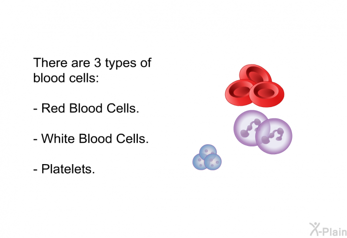 There are 3 types of blood cells:  Red blood cells. White blood cells. Platelets.