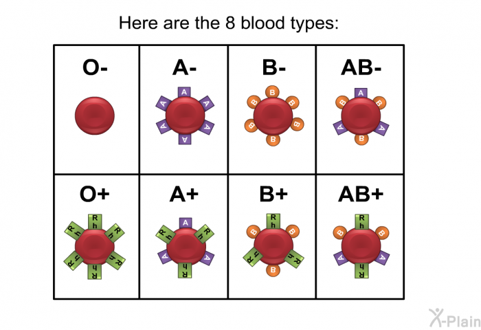 Here are the 8 blood types:  O negative (O-). O positive (O+). A negative (A-). A positive (A+). B negative (B-). B positive (B+). AB negative (AB-). AB positive (AB+).