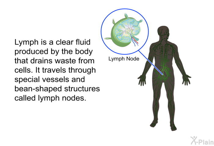 Lymph is a clear fluid produced by the body that drains waste from cells. It travels through special vessels and bean-shaped structures called lymph nodes.